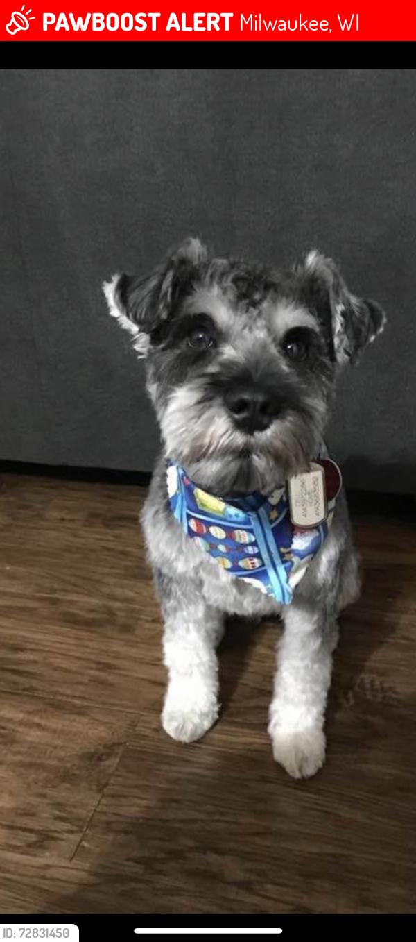 Lost Male Dog last seen Calumet rd , Milwaukee, WI 53223