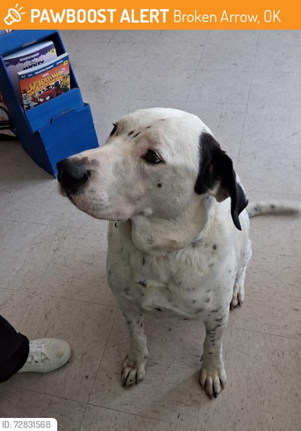 Found/Stray Male Dog last seen At Dollar General in BA, Broken Arrow, OK 74011