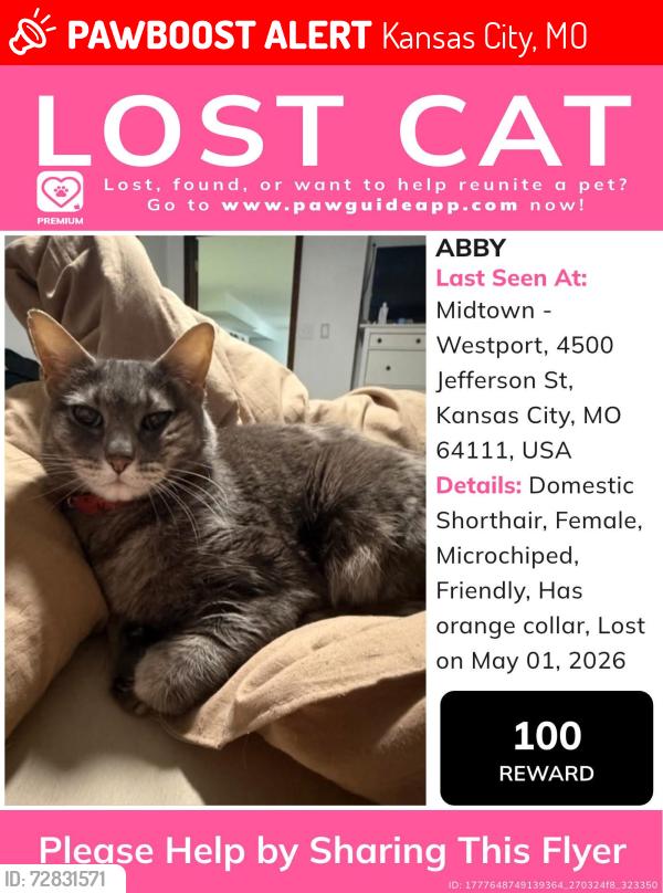 Lost Female Cat last seen W 45th St, Kansas City, MO 64111