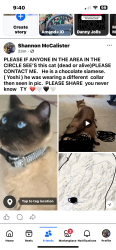 Lost Male Cat last seen Mesa/ glen oaks, Riverside County, CA 92592