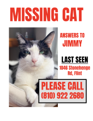 Lost Male Cat last seen Stonehenge Rd / Calkins Rd, Flint, MI 48532