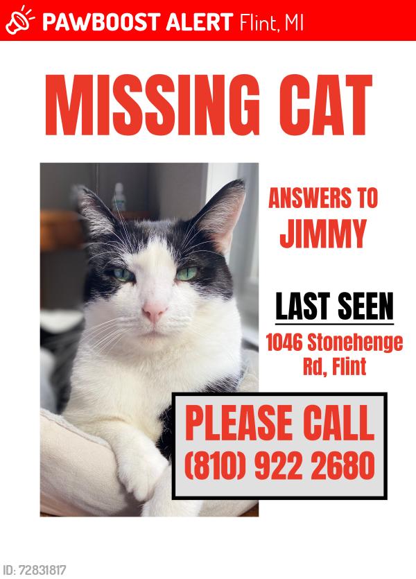 Lost Male Cat last seen Stonehenge Rd / Calkins Rd, Flint, MI 48532