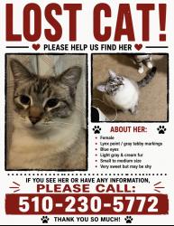 Lost Female Cat last seen Lake st San Pablo CA,USA, San Pablo, CA 94806
