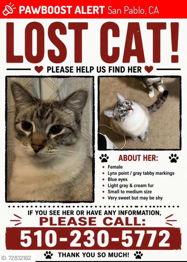 Lost Female Cat last seen Lake st San Pablo CA,USA, San Pablo, CA 94806
