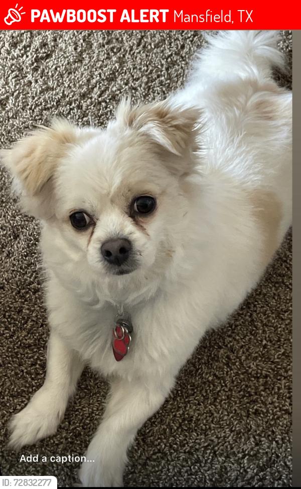 Lost Male Dog last seen Turner Way and Heathcliff, Mansfield, TX 76063