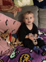 Lost Female Dog last seen Montgomery street not far from science hill , Johnson City, TN 37604
