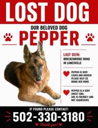 Lost Male Dog last seen Breckinridge road and Hwy 62, Franklin Township, IN 47112