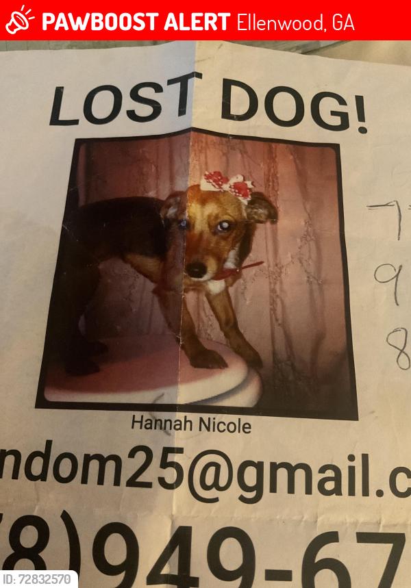 Lost Female Dog last seen Bunchberry ct and star flower dr, Ellenwood, GA 30273