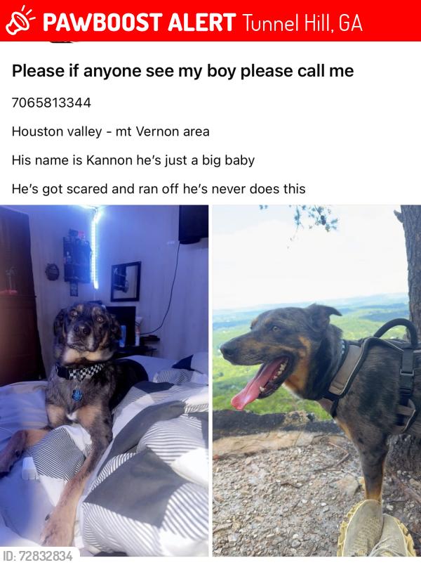 Lost Male Dog last seen Miracle field park , Tunnel Hill, GA 30755