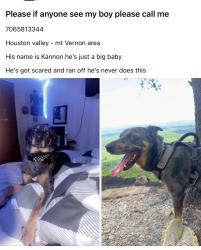 Lost Male Dog last seen Miracle field park , Tunnel Hill, GA 30755