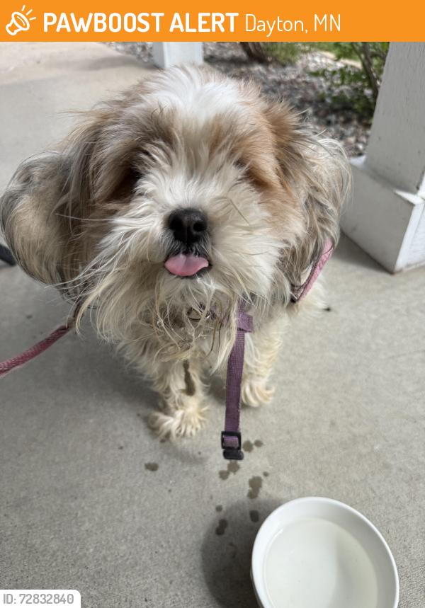 Found/Stray Unknown Dog last seen Ranchview lane N and city rd 30, Dayton, MN 55369