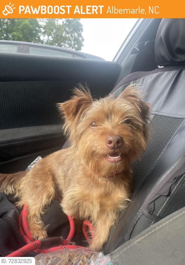 Found/Stray Male Dog last seen Elizabeth Avenue, Albemarle, NC 28001
