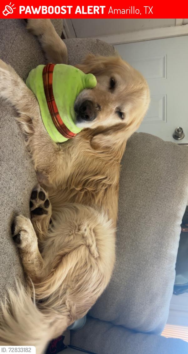Lost Male Dog last seen Eastern & I-40, Amarillo, TX 79104