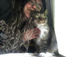 Found/Stray Male Cat last seen Siena Cushing Village Townhouses , Siena, NY 12110