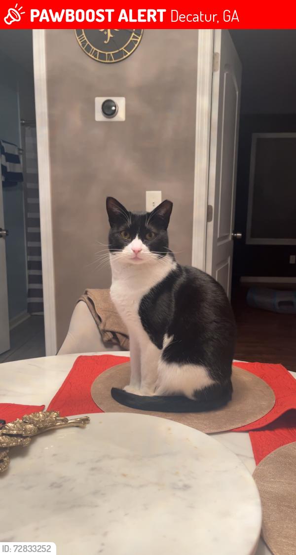 Lost Male Cat last seen McDonald’s Candler and McAfee , Decatur, GA 30032