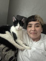 Lost Male Cat last seen spring ave/baxley dr, Carrollton, TX 75006