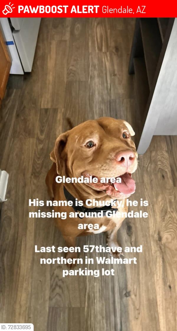Lost Male Dog last seen N 55th ave and W northern ave, Glendale, AZ 85301