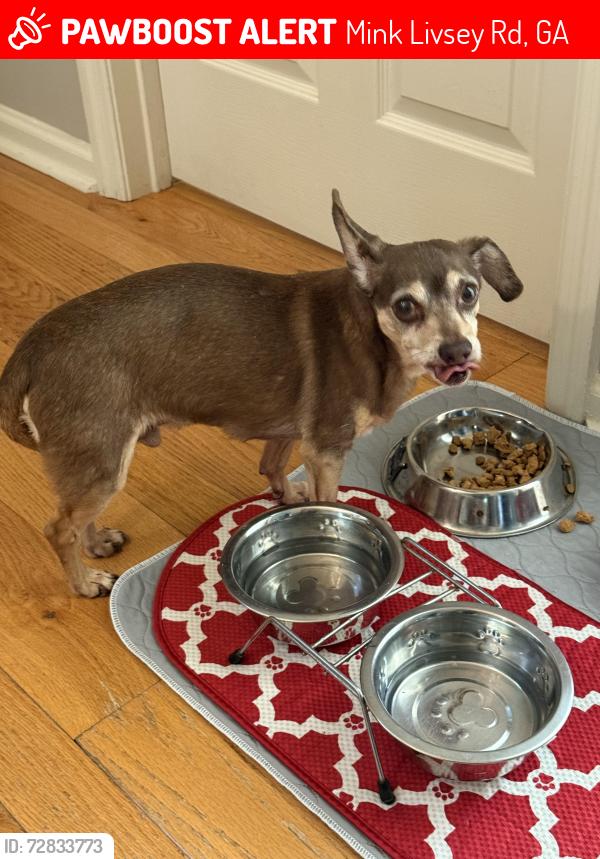 Lost Male Dog last seen Mink Livsey and Lee Road , Mink Livsey Rd, GA 30039