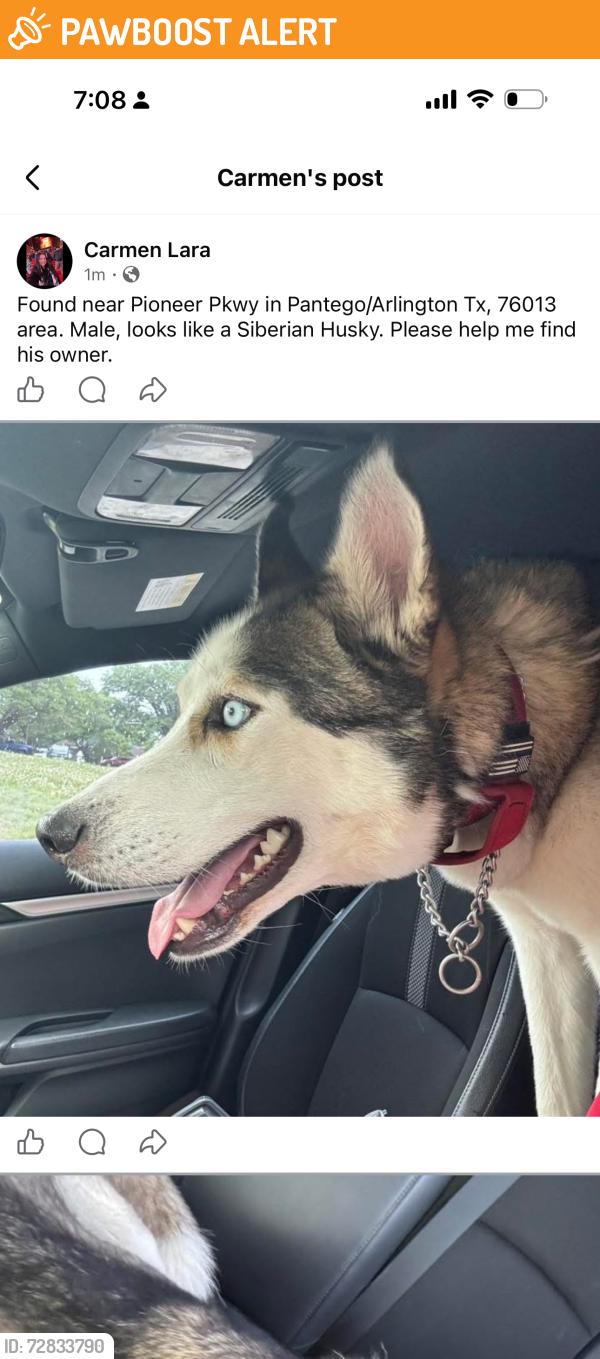 Found/Stray Male Dog last seen Pioneer pkwy, Dalworthington Gardens, TX 76013