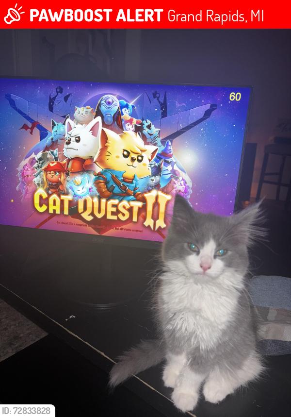 Lost Female Cat last seen Oakdale , Grand Rapids, MI 49507