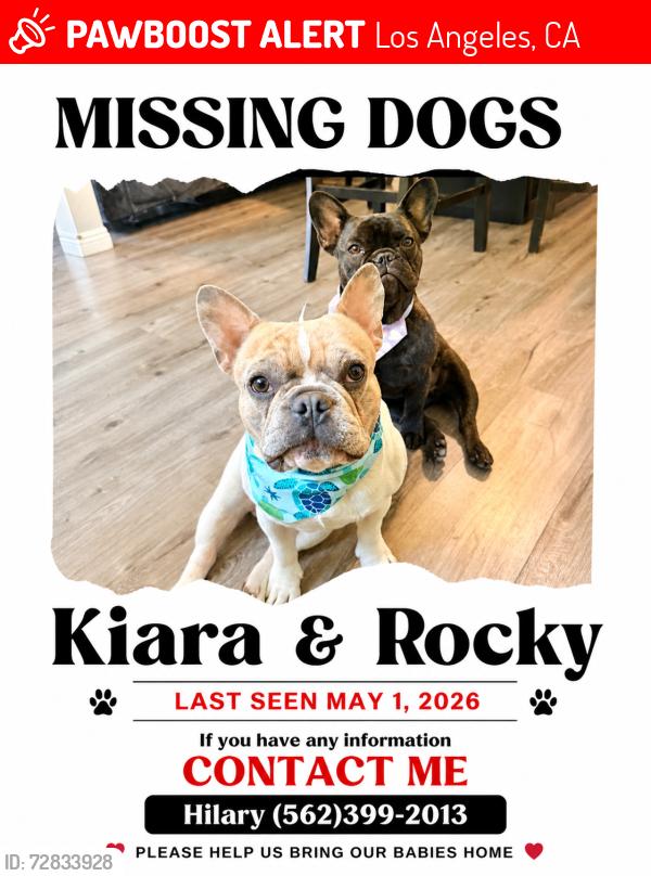 Lost Male Dog last seen Near , Los Angeles, CA 90016