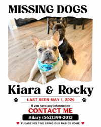Lost Male Dog last seen Near , Los Angeles, CA 90016