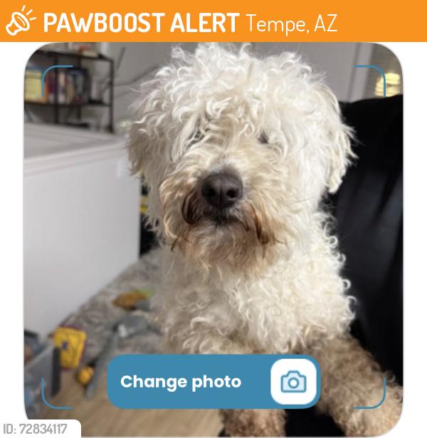 Found/Stray Male Dog last seen Near baseline and Kyrene , Tempe, AZ 85283