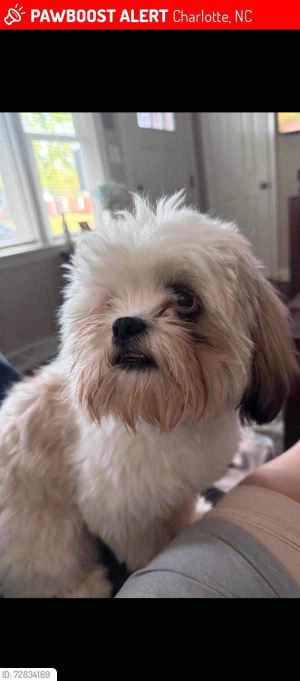 Lost Male Dog last seen Olympic High School, Charlotte, NC 28208