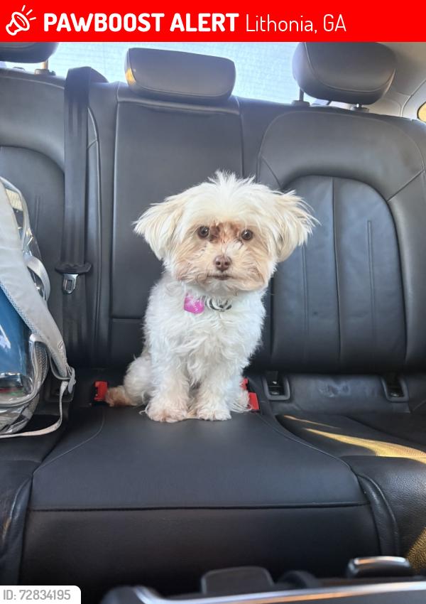 Lost Female Dog last seen Near Providence Point Way , Lithonia, GA 30058