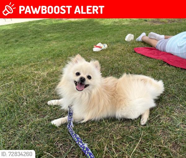 Lost Male Dog last seen carnelian and 19th street, Rancho Cucamonga, CA 91730