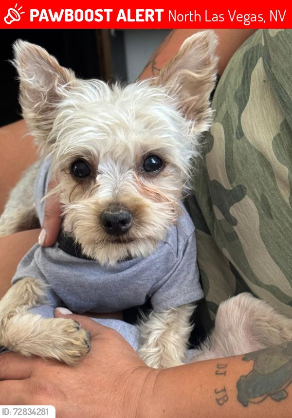 Lost Male Dog last seen Cheyenne @ Civic Center, North Las Vegas, NV 89030