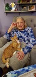 Lost Male Cat last seen South street s Commonwealth , Elgin, IL 60123