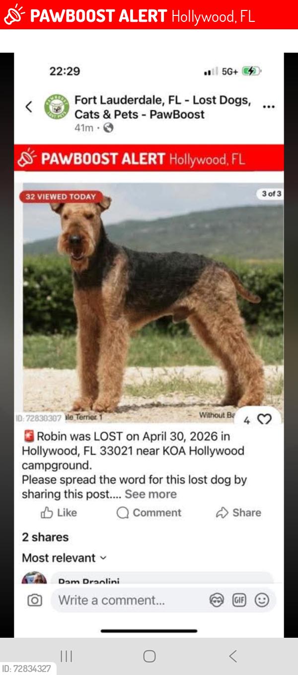 Lost Male Dog last seen  (11345 Stirling Rd, Hollywood, FL, Hollywood, FL 33021