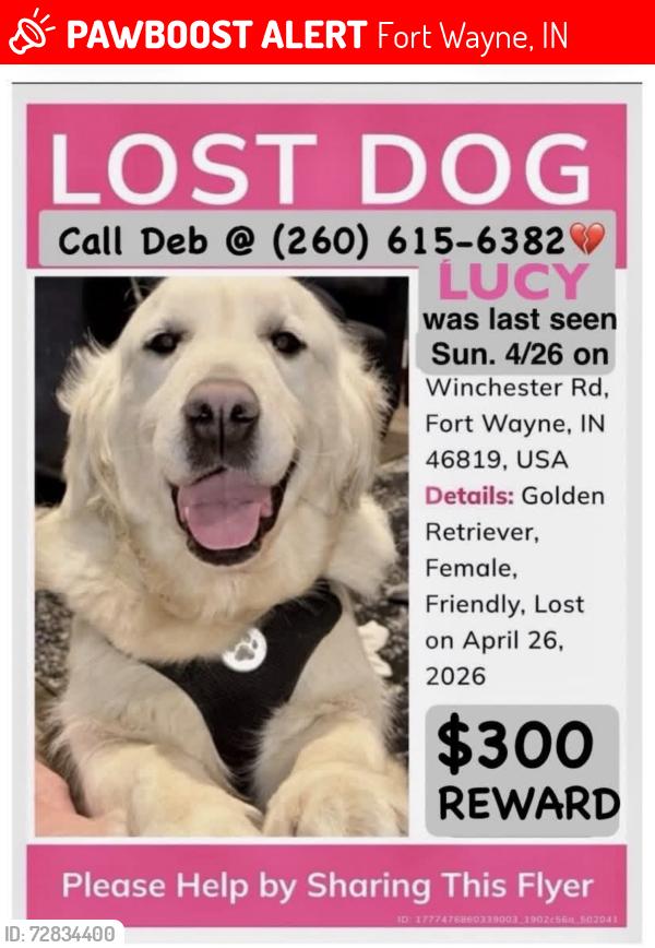 Lost Female Dog last seen Winchester and Muldoon, Fort Wayne, IN 46819