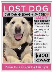 Lost Female Dog last seen Winchester and Muldoon, Fort Wayne, IN 46819