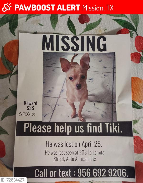 Lost Male Dog last seen La Lomita Mission TX., Mission, TX 78572