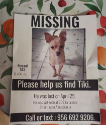 Lost Male Dog last seen La Lomita Mission TX., Mission, TX 78572