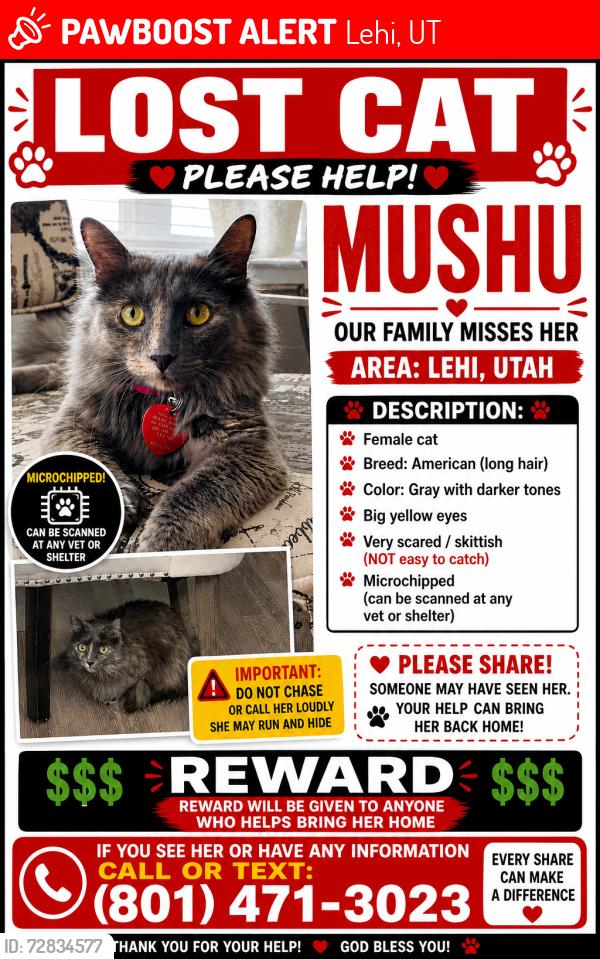 Lost Female Cat last seen Lehi , Lehi, UT 84043