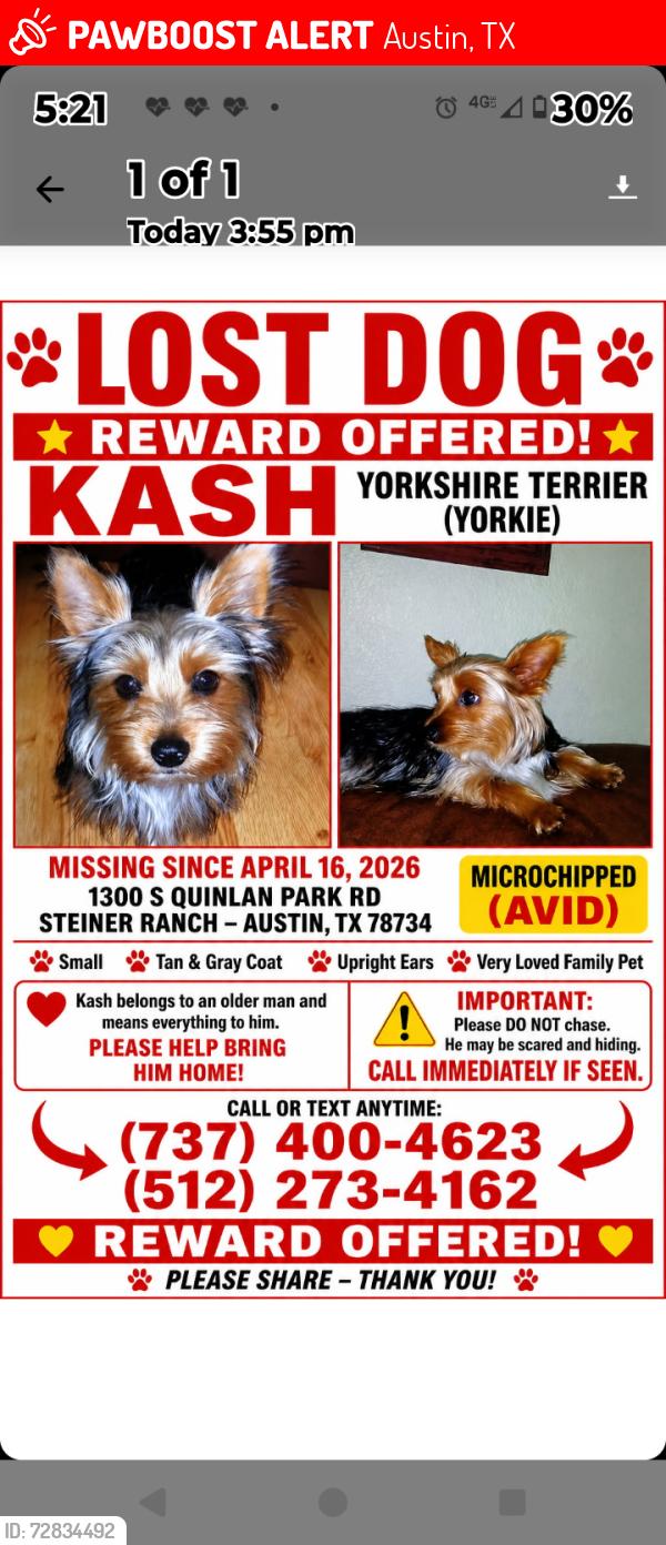 Lost Male Dog last seen River bend, Austin, TX 78732