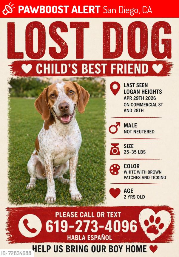 Lost Male Dog last seen 28th and commercial st, San Diego, CA 92113