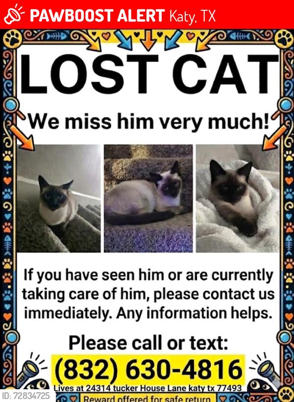 Lost Male Cat last seen Tucker hse Ln , Katy, TX 77493