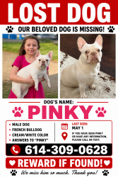 Lost Male Dog last seen Laurel ave and brown rd/harrisburg pike, Columbus, OH 43223