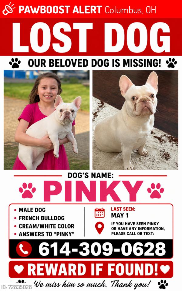 Lost Male Dog last seen Laurel ave and brown rd/harrisburg pike, Columbus, OH 43223