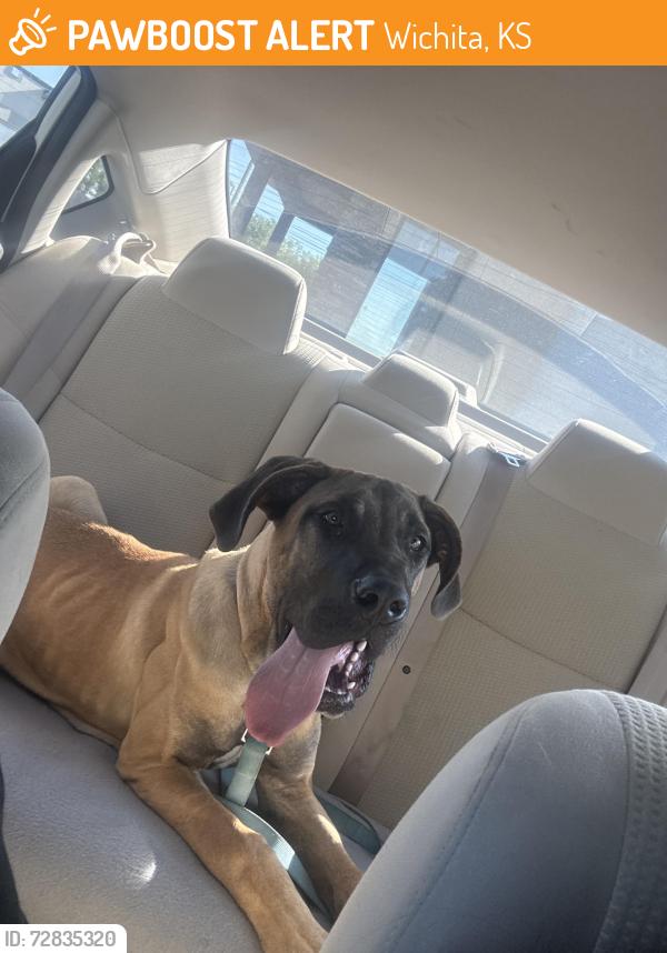 Found/Stray Male Dog last seen Oliver & 17th, Wichita, KS 67220