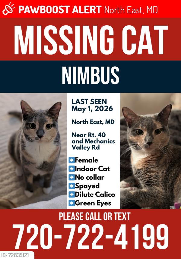 Lost Female Cat last seen Rte. 40 & Mechanics Valley Rd., North East, MD 21901