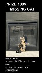 Lost Male Cat last seen orrin view cove, Draper, UT 84020
