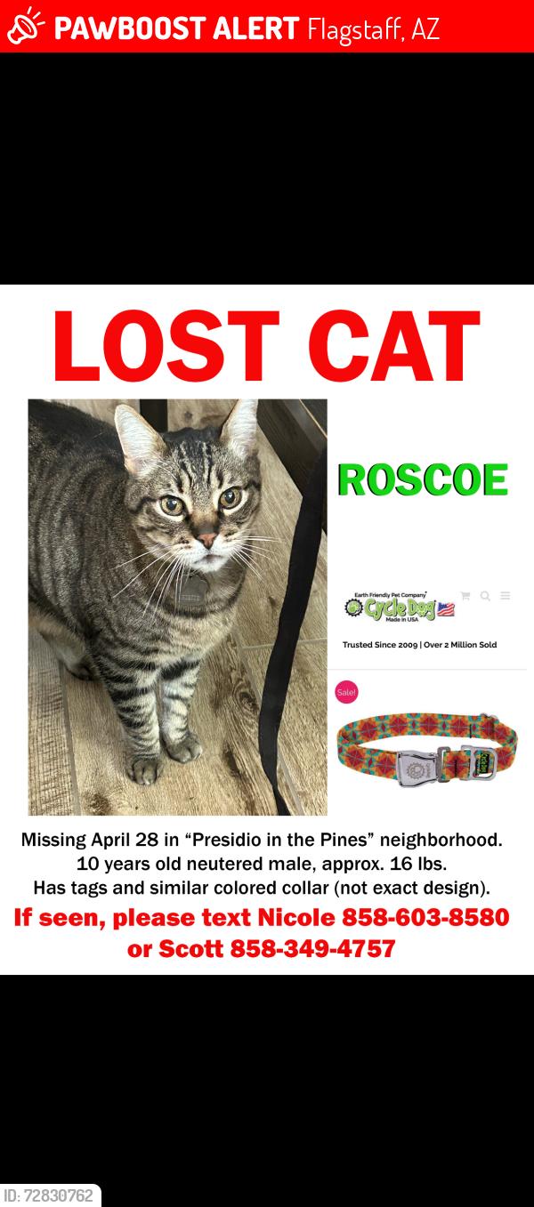 Lost Male Cat last seen W mission Timber Cir and woody way, Flagstaff, AZ 86001