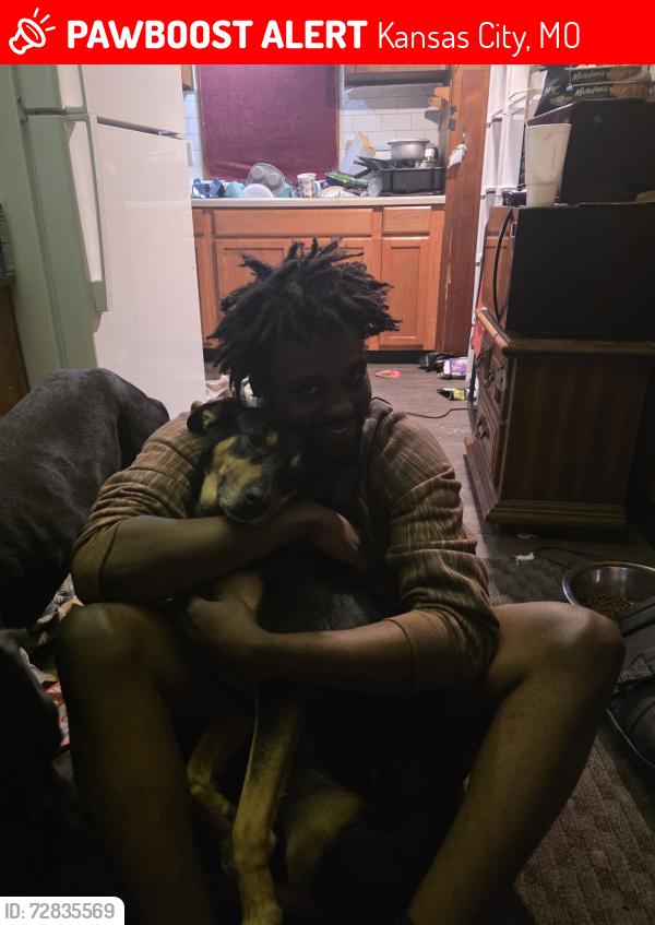 Lost Female Dog last seen Prospect Ave, Kansas City, Missouri, Kansas City, MO 64130
