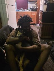 Lost Female Dog last seen Prospect Ave, Kansas City, Missouri, Kansas City, MO 64130