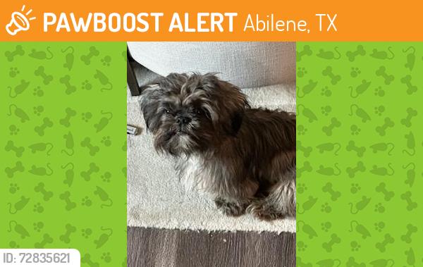 Found/Stray Male Dog last seen Florence and Naples, Abilene, TX 79606